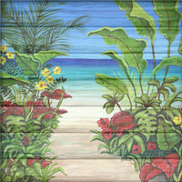 Caribbean Cruise Collection Pack