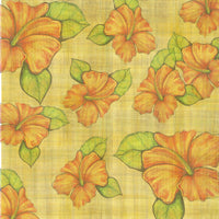 Tropical Breezes Collection Pack