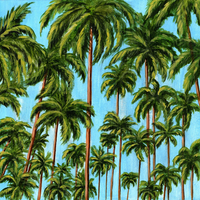 Beach Retreat Collection Pack