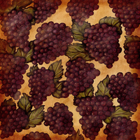 VINTAGE VINEYARD Collection Pack