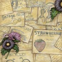 Vintage Garden' Collection Pack