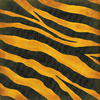 Vintage Safari Collection Pack