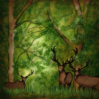 The Great Outdoors Collection Pack