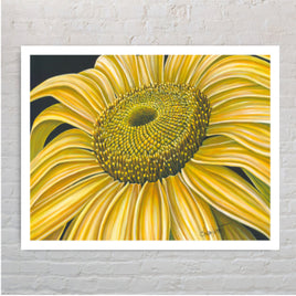 'Hello Sunshine' Art Print