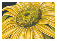 'Hello Sunshine' Art Print