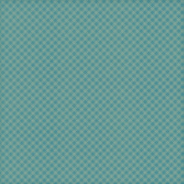 Out West Turquoise Gingham Print