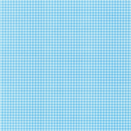 Blue Gingham