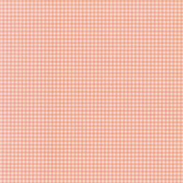 Coral Gingham