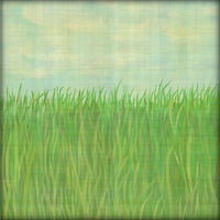Summer Daze Collection Pack