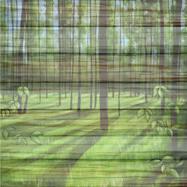 Camping & Hiking Forest Floor