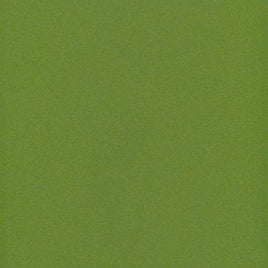 8x8 Jellybean Green / 25 Sheet Pack