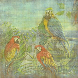 Parrot Bay Reflection Scrapbook Print