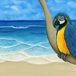 Parrot Beach
