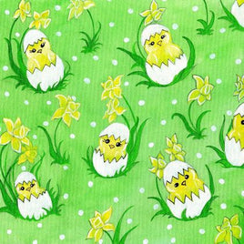 Baby Chicks