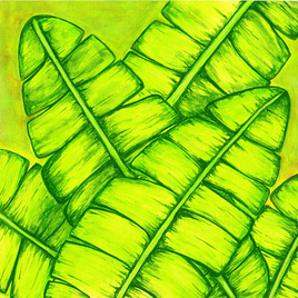 Banana Leaves