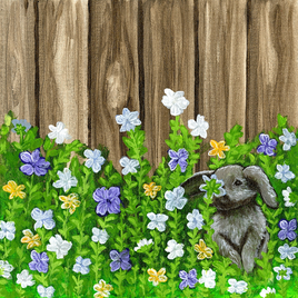 Bunny Trail