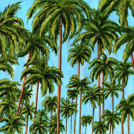 Caribbean Palms