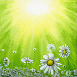 Daisy Patch