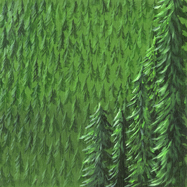 In the Forest