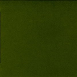 Jellybean Green / 12"x12" SINGLE SHEET