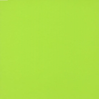 Lemon Lime Cardstock