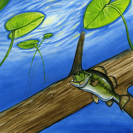 Lily Pad Lake