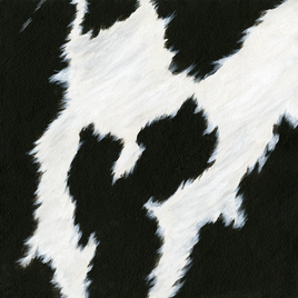 Milk Cow Mania