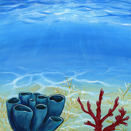 Ocean Floor Sealife