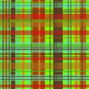 Pet Plaid