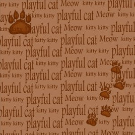 Playful Cat