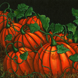 Pumpkin Patch