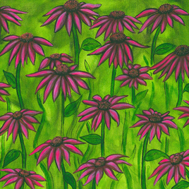 Purple Daisies