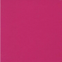 Razzleberry Cardstock