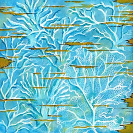 Sea Fans