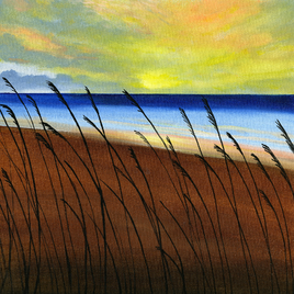 Sea Oat View
