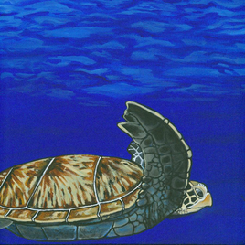 Sea Turtle