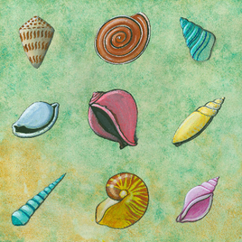 Seashell Collage Cut-Out Sheet