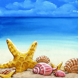 Shore Life Seashells