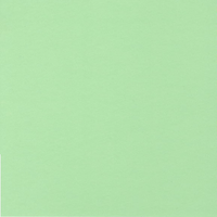 Spearmint Cardstock