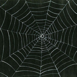 Spider's Web